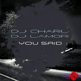 You Said by Dj Charl