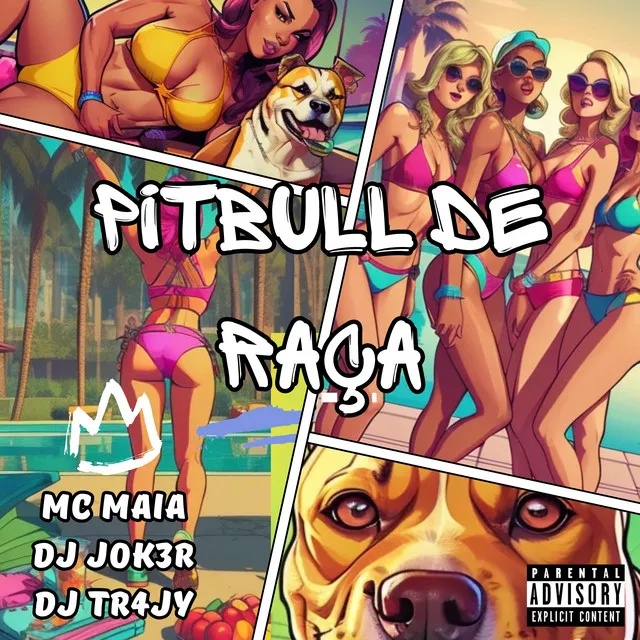 Pitbull de Raça