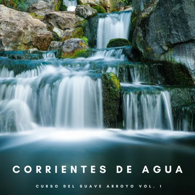 Corrientes De Agua: Curso Del Suave Arroyo Vol. 1