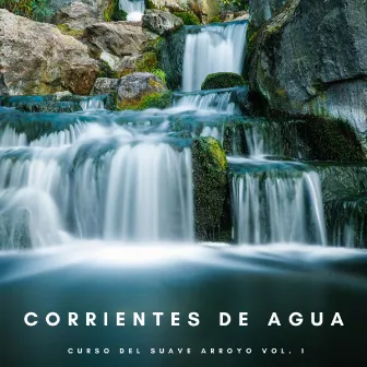 Corrientes De Agua: Curso Del Suave Arroyo Vol. 1 by Océano y Mar