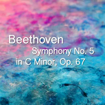 Beethoven Symphony No. 5 in C Minor, Op. 67 by The St Petra Russian Symphony Orchestra