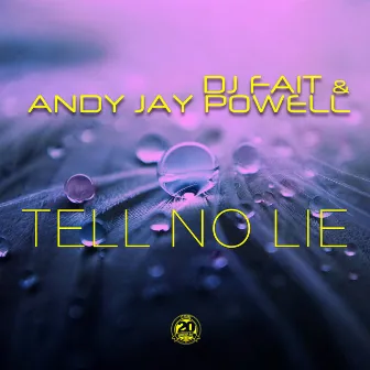 Tell No Lie by Andy Jay Powell