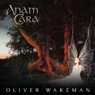 Anam Cara by Oliver Wakeman