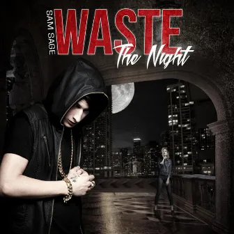 Waste the Night by Sam Sage