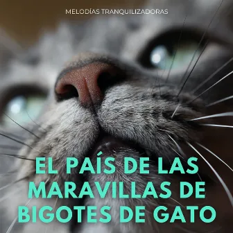 El País De Las Maravillas De Bigotes De Gato: Melodías Tranquilizadoras by Música relajante para gatitos