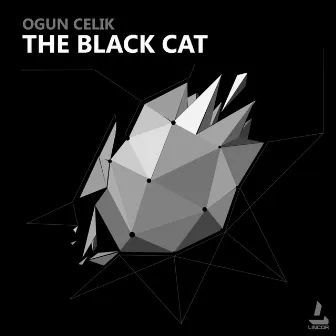 The Black Cat by Ogun Celik