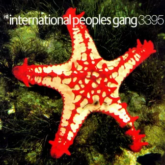 International Peoples Gang3395 (Remastered) by International Peoples Gang