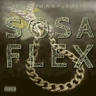 SOSA FLEX by Apollo Twin