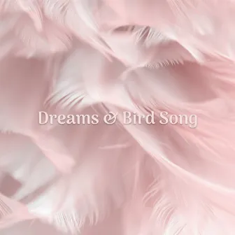 Dreams & Bird Song by Unknown Artist