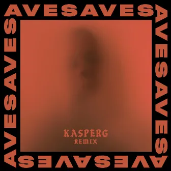 Doubt (Kasperg Remix) by Aves