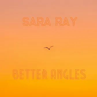 Better Angles by Sara Ray