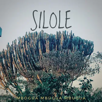 Silole by Mbogua Mbugua Mbugua