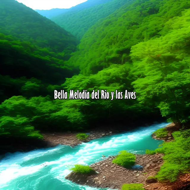 Bella Melodía del Rio y las Aves