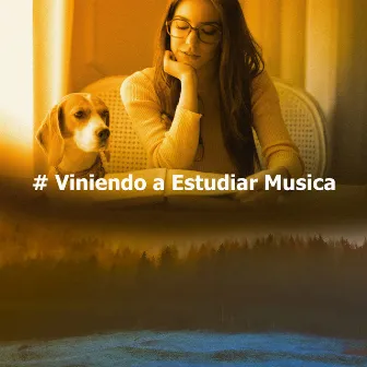 # Viniendo a Estudiar Musica by Estudiar música para concentrarse