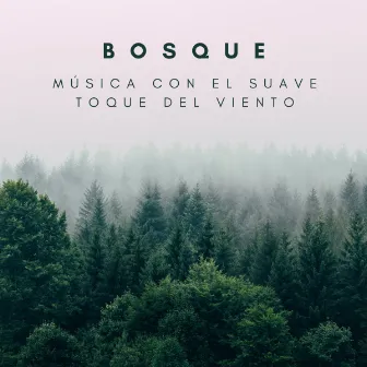 Bosque: Música Con El Suave Toque Del Viento by Bosque Tropical