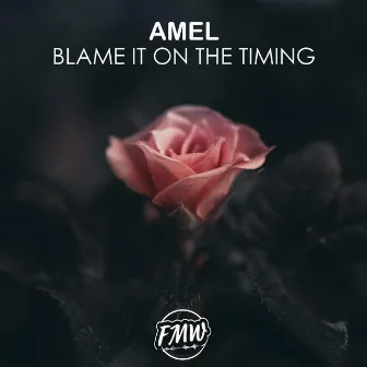 Blame It On The Timing by Amél