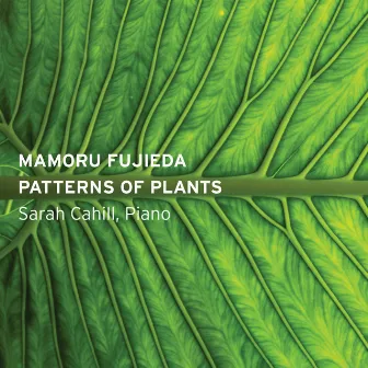 Mamoru Fujieda: Patterns of Plants by Sarah Cahill