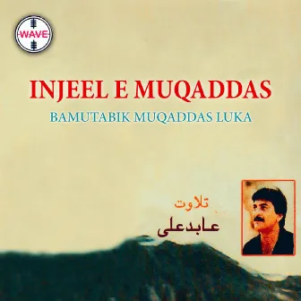 Injeel E Muqaddas Bamutabik Muqaddas Luka by Abid Ali