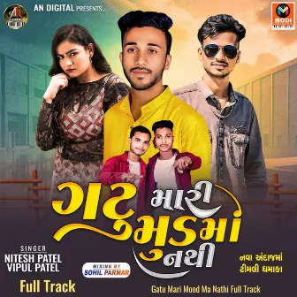 Gatu Mari Mood Ma Nathi Full Track by Vipul Patel