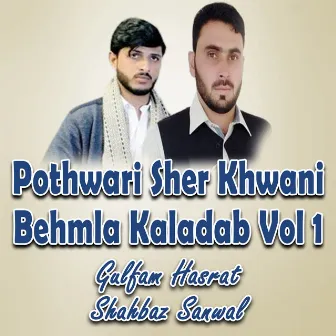 Pothwari Sher Khwani Behmla Kaladab, Vol. 1 by Unknown Artist