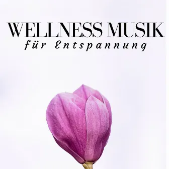 Wellness Musik für Entspannung, Meditation mit Naturgeräusche by Beruhigende Musik Akademie