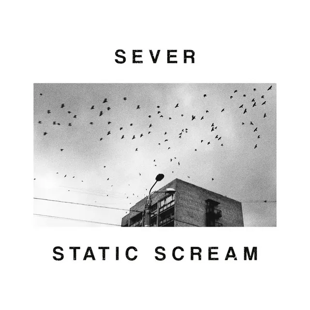 Static Scream