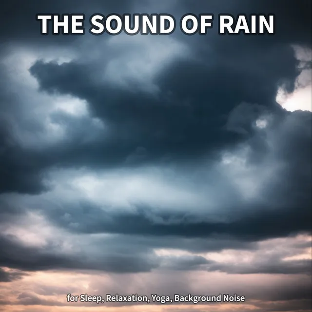 #1 The Sound of Rain for Sleep, Relaxation, Yoga, Background Noise