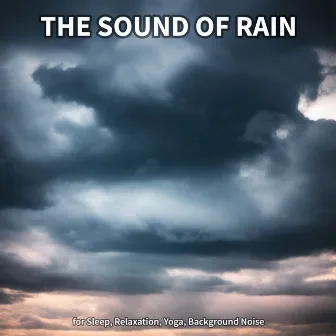 #1 The Sound of Rain for Sleep, Relaxation, Yoga, Background Noise by Rain Sounds