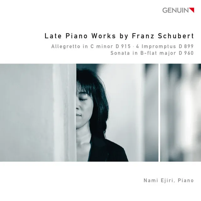 Piano Sonata No. 21 in B-Flat Major, D. 960: III. Scherzo: Allegro vivace con delicatezza