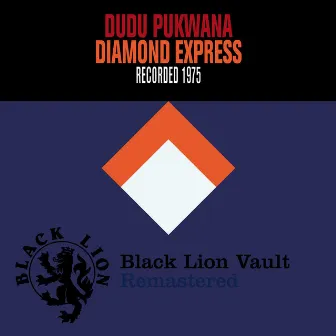 Diamond Express by Dudu Pukwana