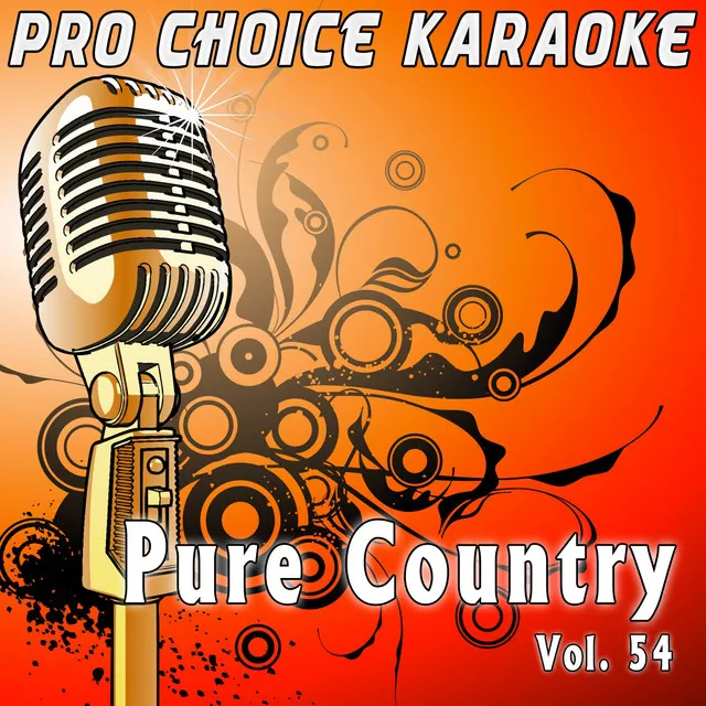 Dust on the Bottle (Karaoke Version) [Originally Performed by David Lee Murphy]