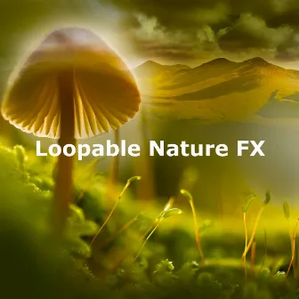 Loopable Nature FX by Pure Nature Noises