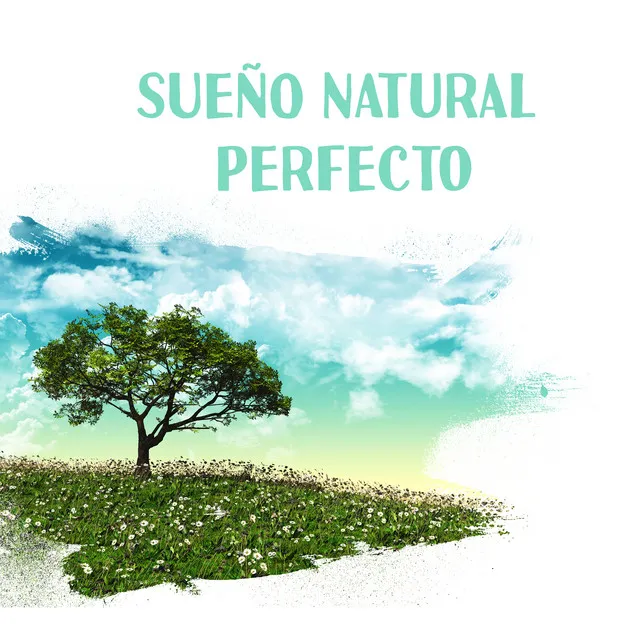 Sueño Natural Perfecto - Sonidos Relajantes para un Sueño Profundo, Tiempo de Relajación, Musica de Ambiente, Paz y Armonía