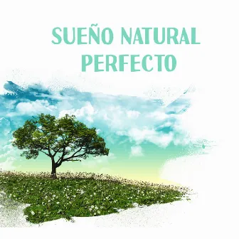 Sueño Natural Perfecto - Sonidos Relajantes para un Sueño Profundo, Tiempo de Relajación, Musica de Ambiente, Paz y Armonía by Relajación Música Fondo Conjunto