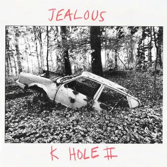 K-Hole II by Jealous