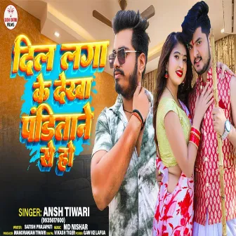 Dil Laga Ke Dekha Panditane Se (Bhojpuri) by Ansh Tiwari