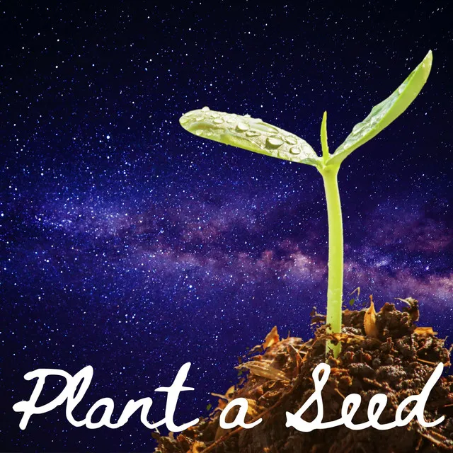 Plant a Seed