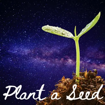 Plant a Seed by Levity Beet