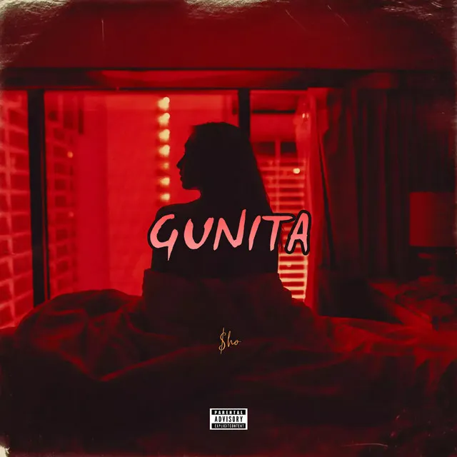 Gunita