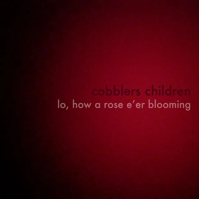 Lo, How a Rose E'er Blooming