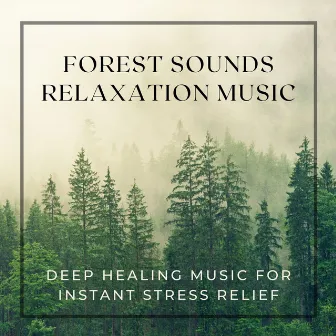 Forest Sounds Relaxation Music: Deep Healing Music for Instant Stress Relief by Emmanuel Forest