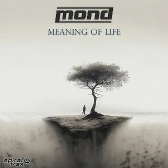 Meaning Of Life by Mond