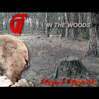 In the Woods by GT