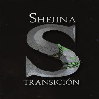 Transición by Shejina