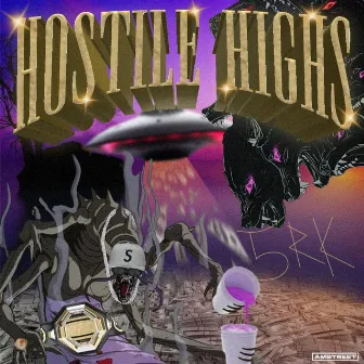 HOSTILE HIGHS by Sirkin