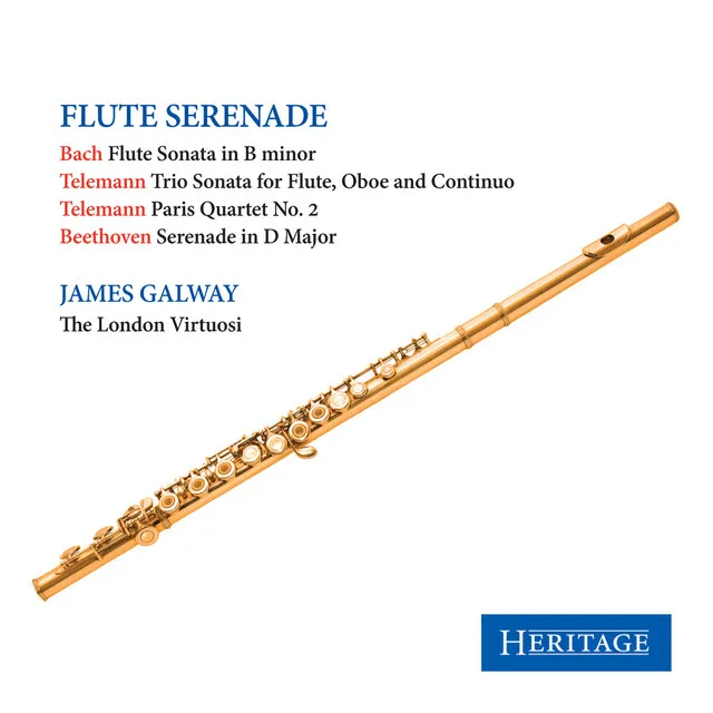 Flute Serenade