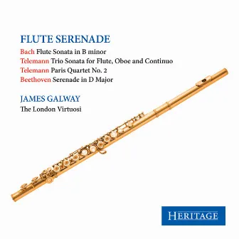 Flute Serenade by London Virtuosi