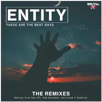 These Are The Best Days by Entity