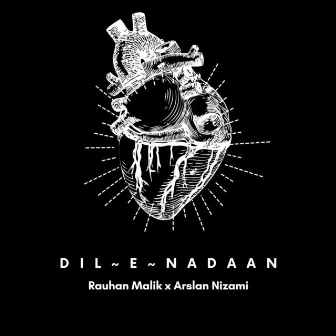 Dil E Nadaan by Rauhan Malik