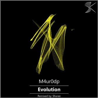 Evolution by M4ur0dp